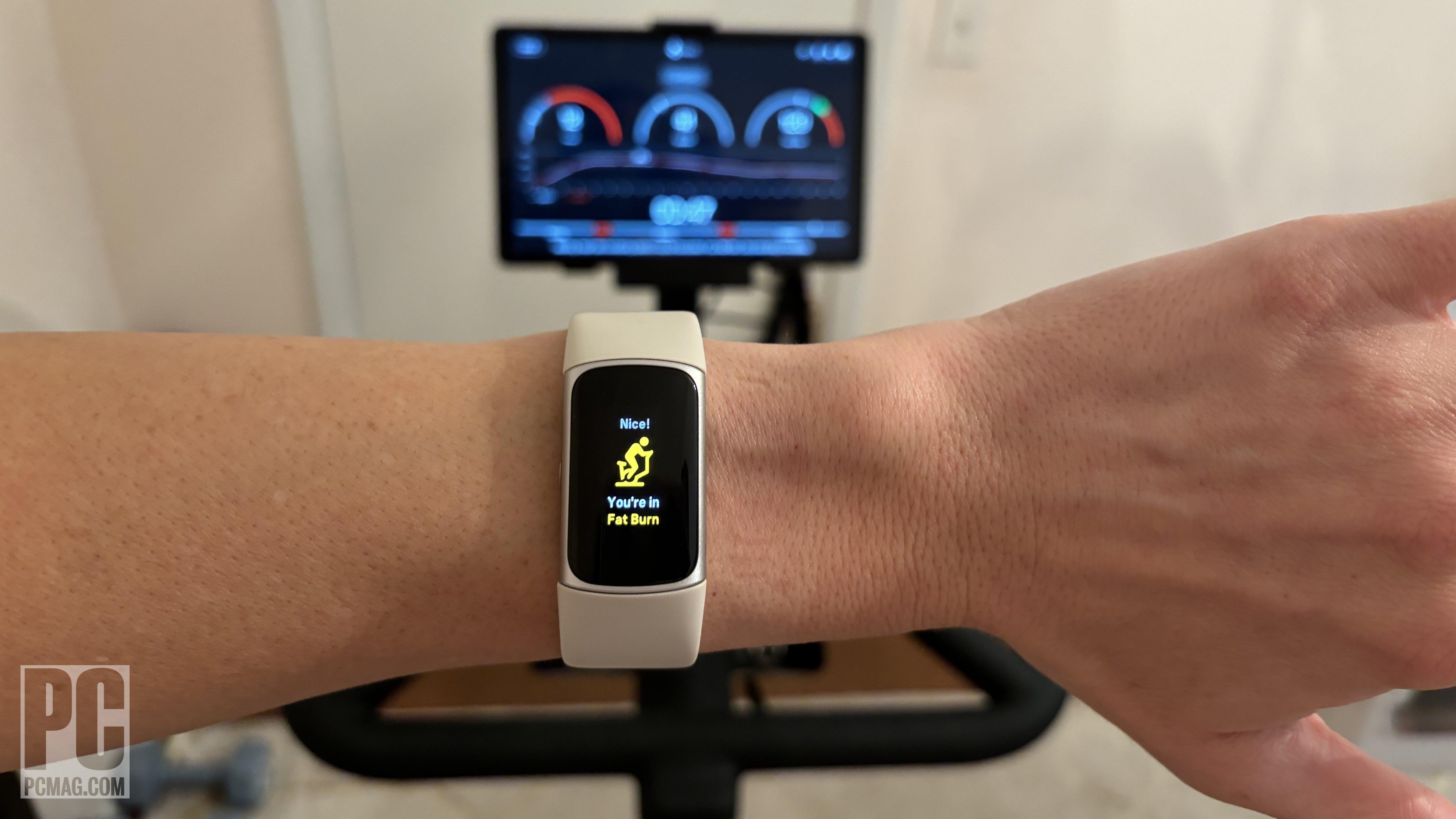 Top Performers: fitness Trackers That Deliver on a Budget