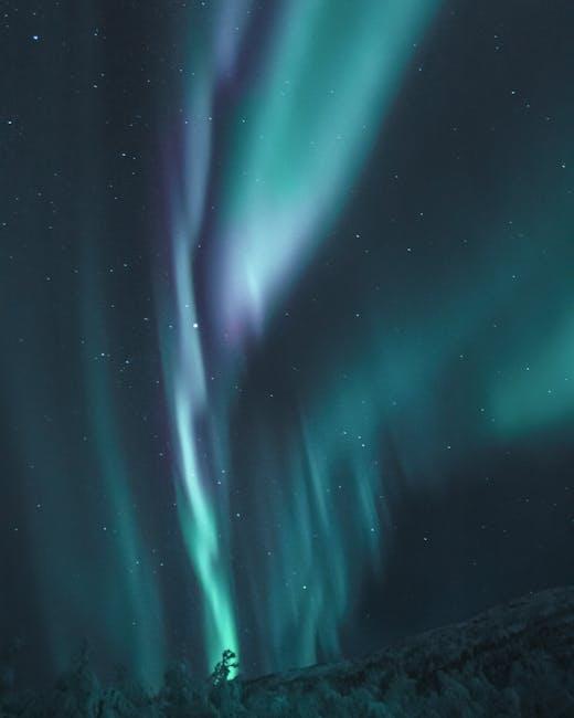 Material Breakdown: What Makes the Aurora Luxe Stand Out