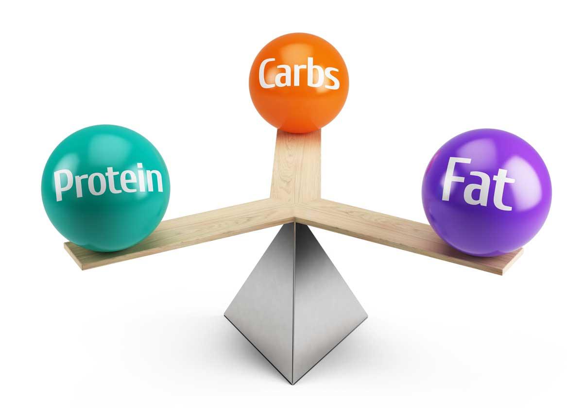 Assessing Macronutrient Balance: How‌ Do These ‌Shakes⁢ Measure Up for Protein, Carbs, and Fats?