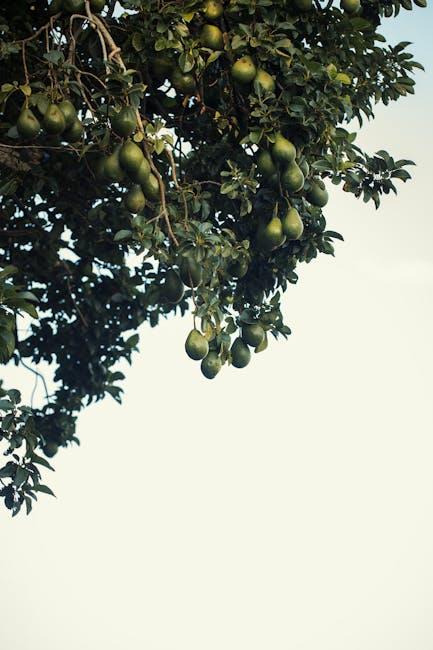 Choosing ‍the Right Avocado Green Mattress: Tips for Every⁢ Sleeper