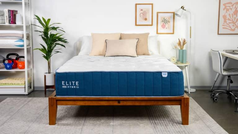 Unveiling the Bear Elite Hybrid: A Comprehensive ⁣Overview for Performance Seekers